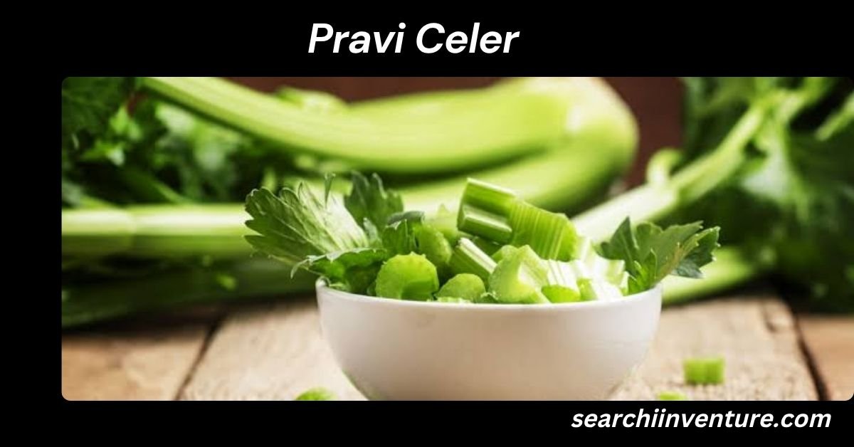 Pravi Celer